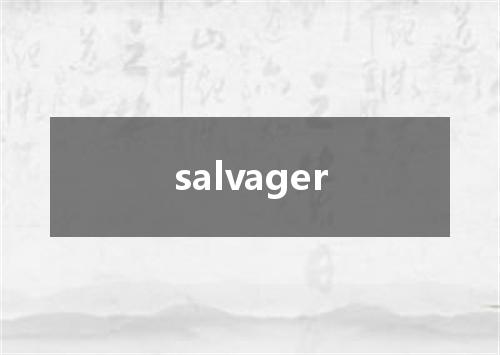 salvager是什么意思