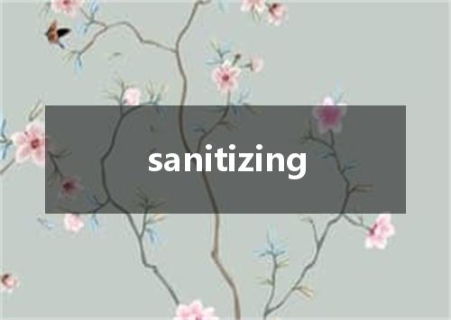 sanitizing是什么意思