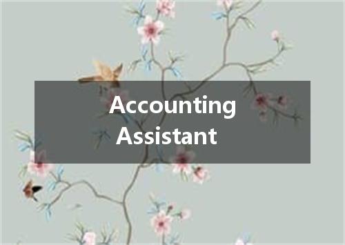 Accounting Assistant是什么意思