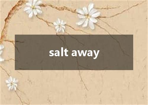 salt away是什么意思