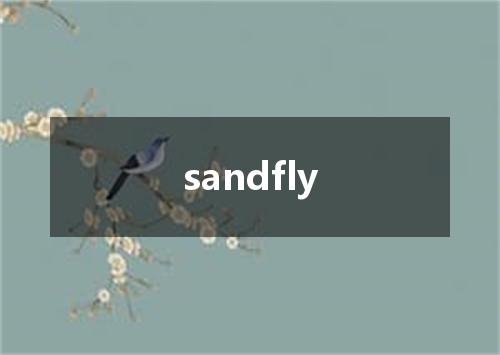 sandfly是什么意思