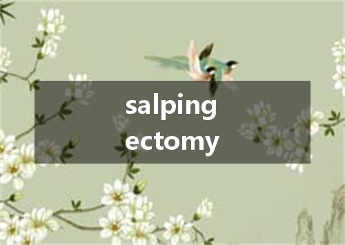 salpingectomy是什么意思