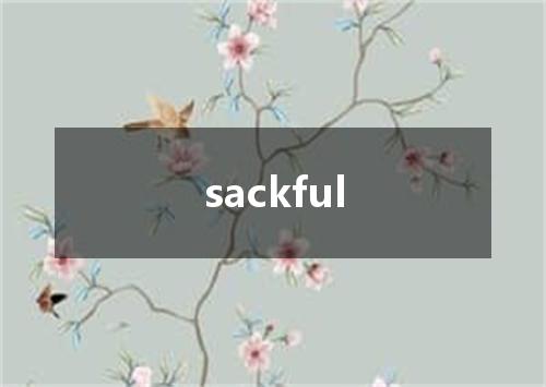 sackful是什么意思