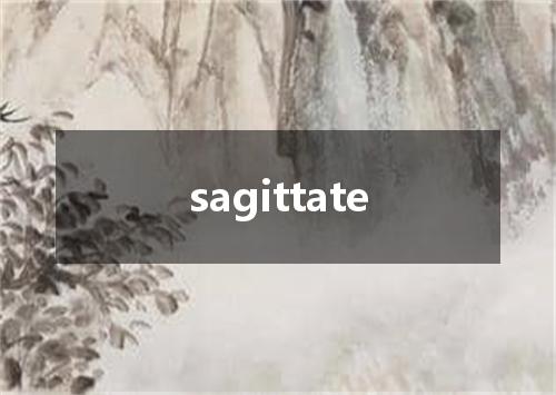 sagittate是什么意思