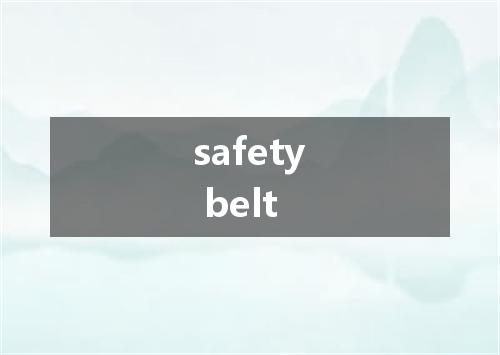 safety belt是什么意思