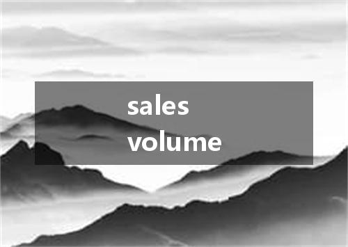 sales volume是什么意思