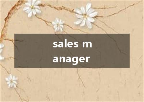 sales manager是什么意思
