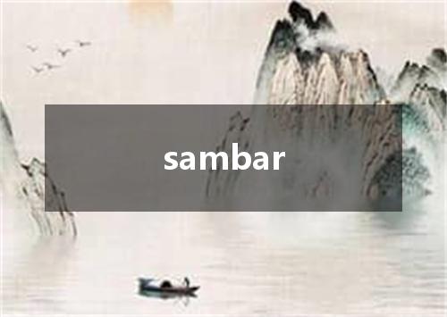 sambar是什么意思