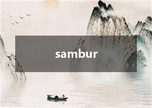 sambur是什么意思