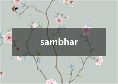 sambhar是什么意思
