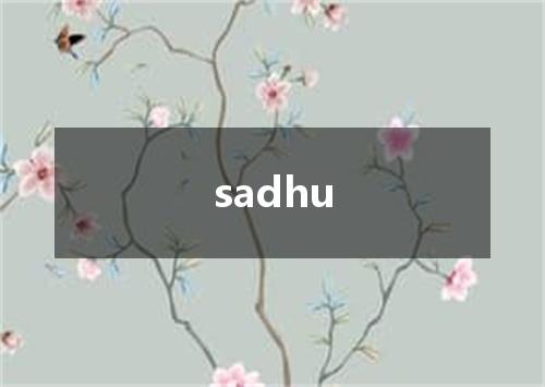 sadhu是什么意思