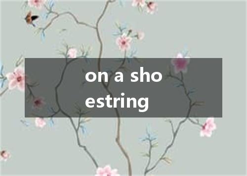 on a shoestring是什么意思