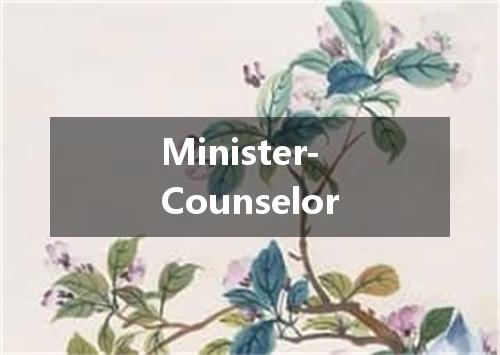 Minister-Counselor是什么意思