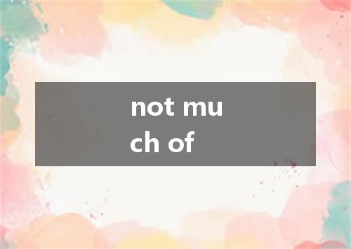 not much of是什么意思