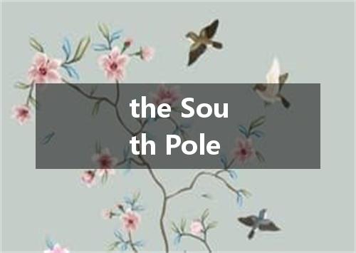 the South Pole是什么意思