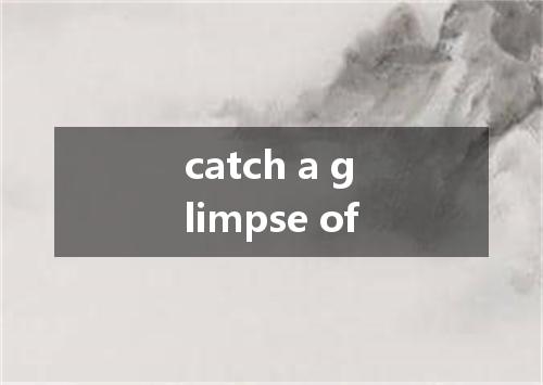 catch a glimpse of是什么意思