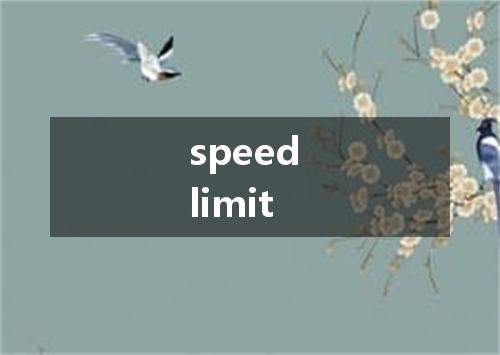 speed limit是什么意思