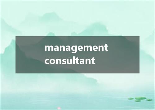 management consultant是什么意思