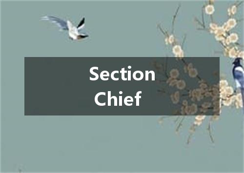 Section Chief是什么意思