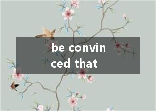 be convinced that是什么意思