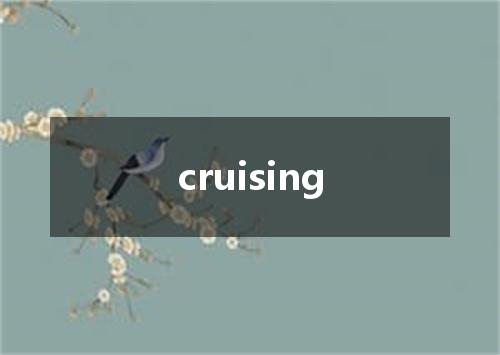 cruising是什么意思