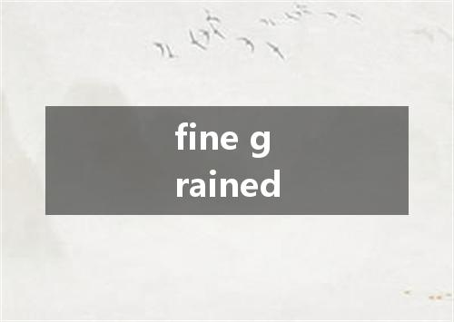 fine grained是什么意思