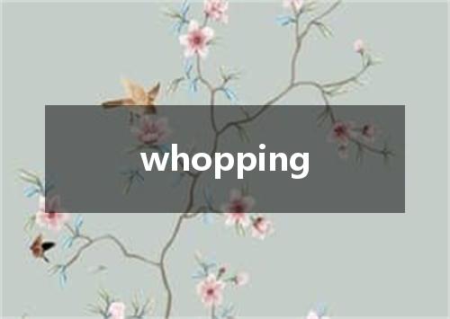 whopping是什么意思
