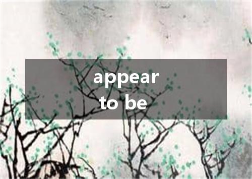 appear to be是什么意思