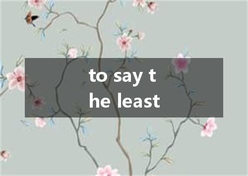 to say the least是什么意思