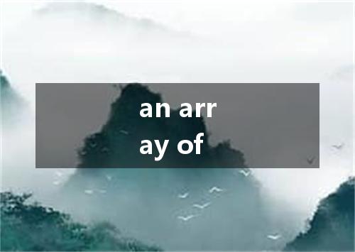 an array of是什么意思