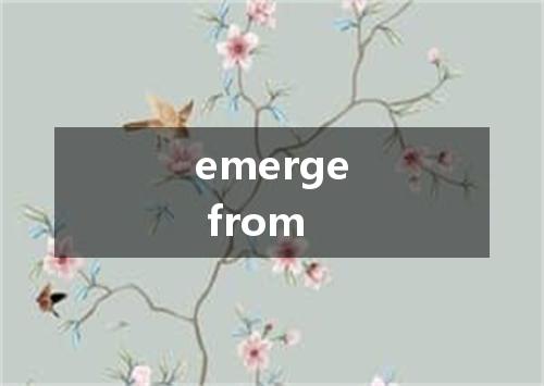 emerge from是什么意思