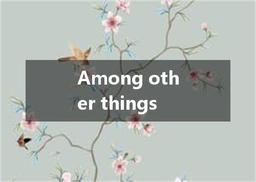 Among other things是什么意思