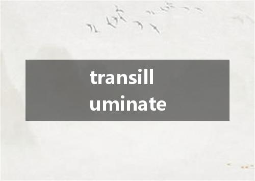 transilluminate是什么意思
