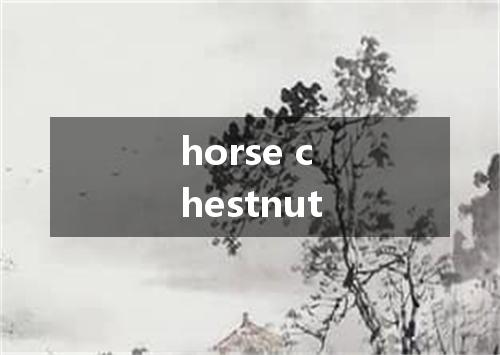 horse chestnut是什么意思
