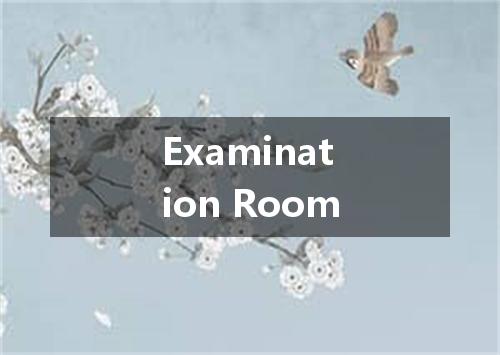 Examination Room是什么意思