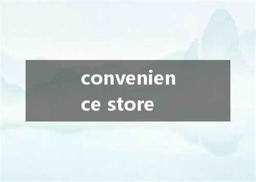 convenience store是什么意思