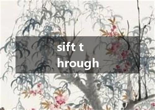 sift through是什么意思
