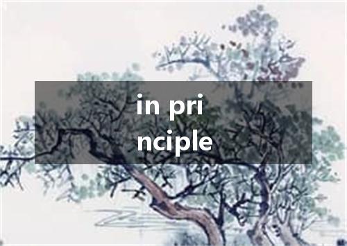 in principle是什么意思