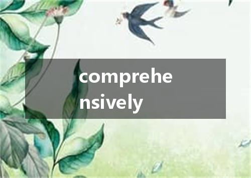 comprehensively是什么意思