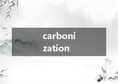 carbonization是什么意思