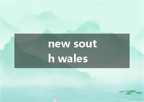 new south wales是什么意思