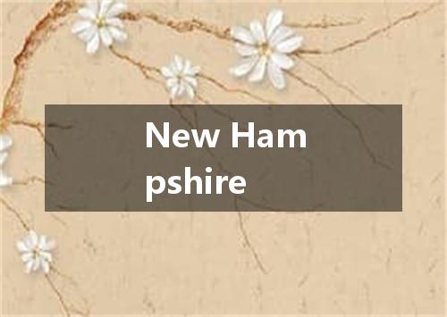 New Hampshire是什么意思
