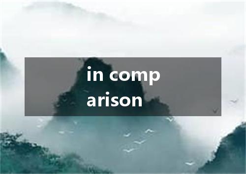 in comparison是什么意思