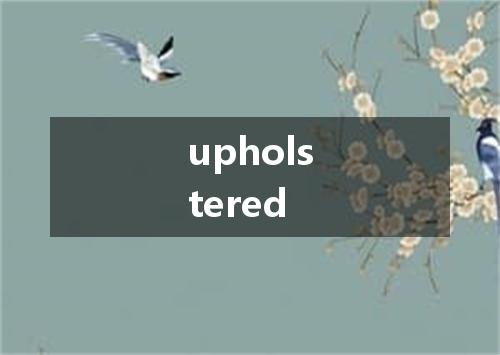 upholstered是什么意思