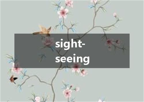 sight-seeing是什么意思