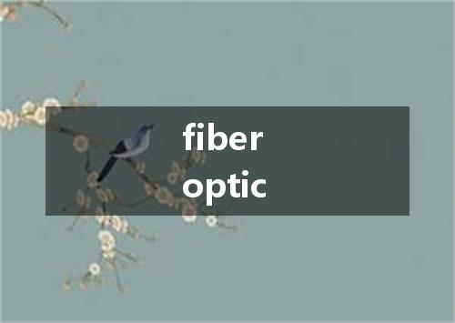 fiber optic是什么意思