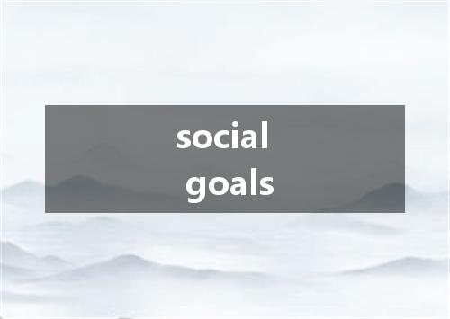 social goals是什么意思