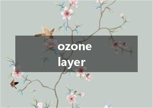 ozone layer是什么意思