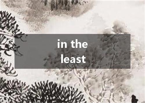 in the least是什么意思