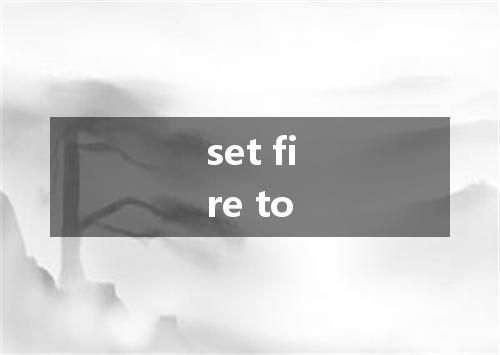 set fire to是什么意思